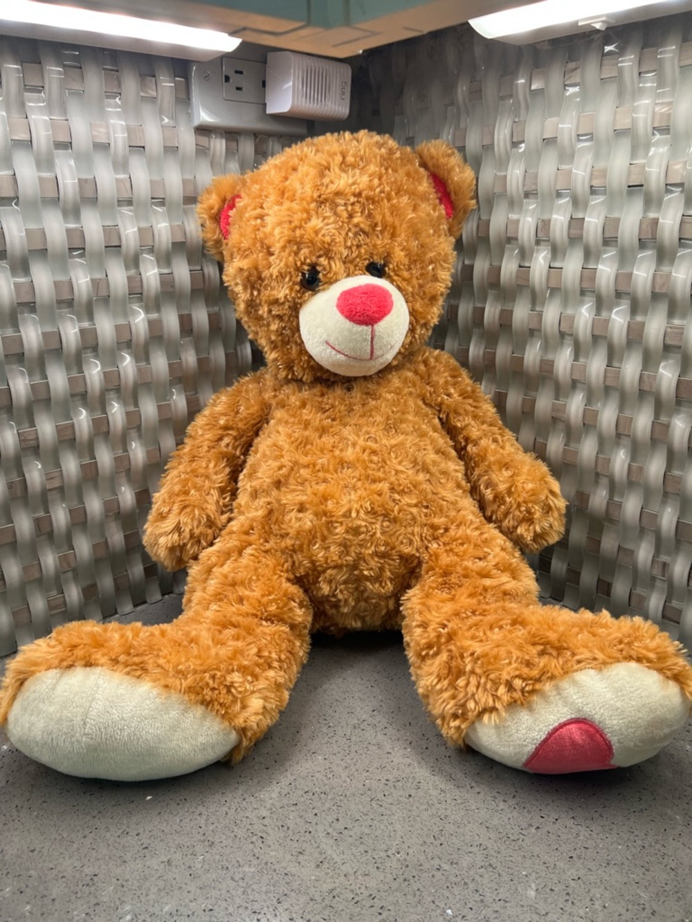 Plush Brown Teddy Bear with Pink Accents - Soft Kids Toy 25x15